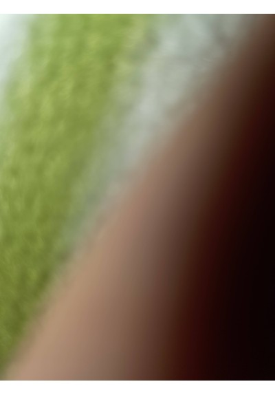 Imagen No Identificable